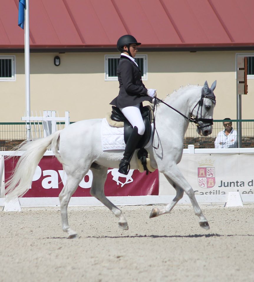 Antonio Laiz Campeón de España Jóvenes Jinetes en Doma Clásica.